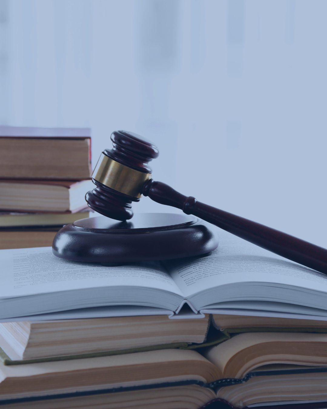 Loi Letchimy representation