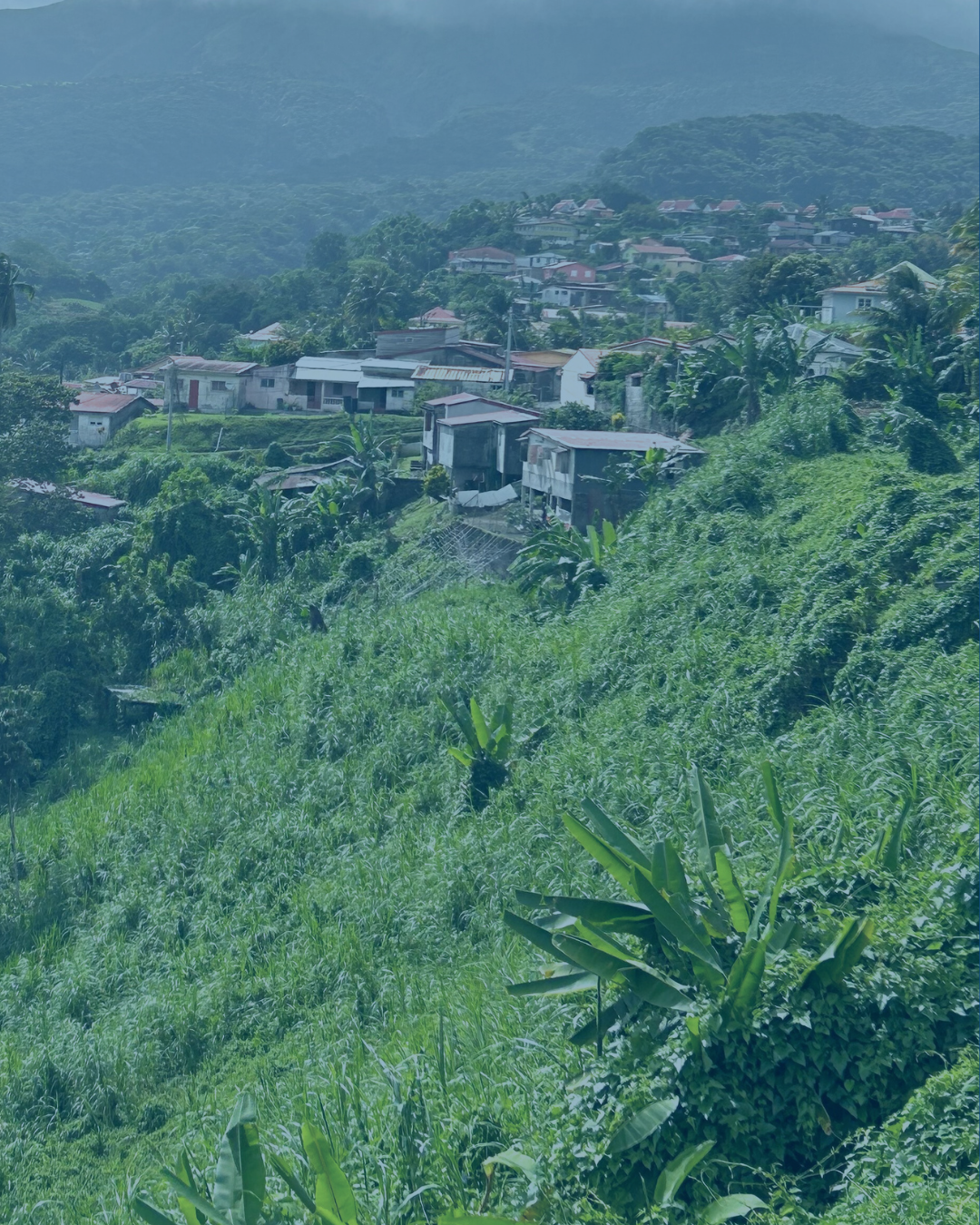 photo presentation page accueil